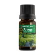 Εικόνα της Αιθέριο έλαιο ελάτης Natural, 10 ml