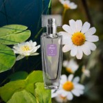 Picture of Άρωμα γυναικείο, Numeric Collection Νο 7, 30 ml